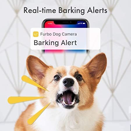 كاميرا Furbo Dog Camera لرمي المكافآت بدقة عالية وواي فاي وصوت ثنائي الاتجاه