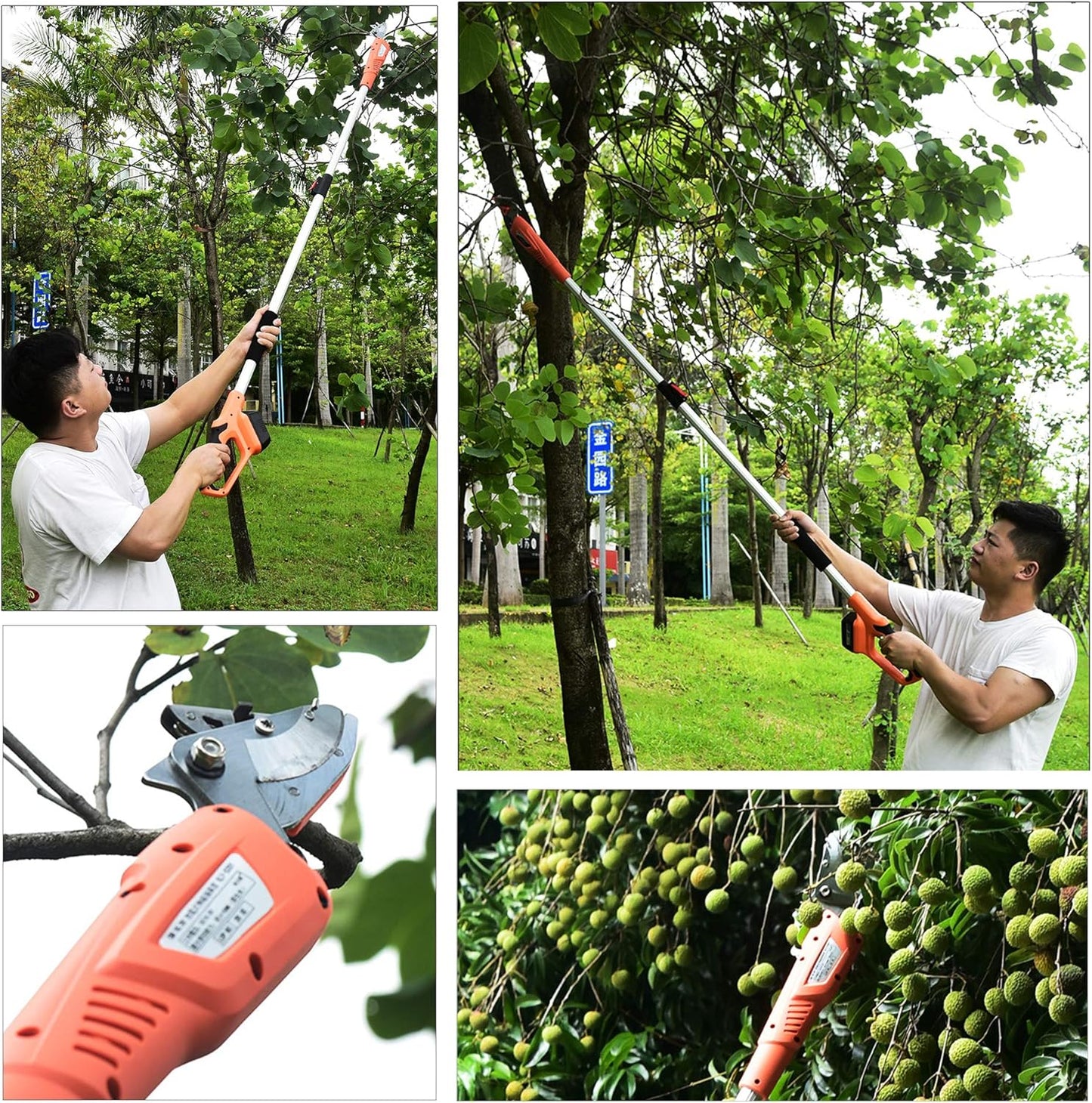 Electric Rechargeable Fruit Picker Tool Hold Long Handle Reach Pruner Long Handle Fruit Picker Telescopic Tree Pruner Garden Long Handled Secateurs for Tree Branches Fruits Catcher Orchard Picking Tool Length 2m,