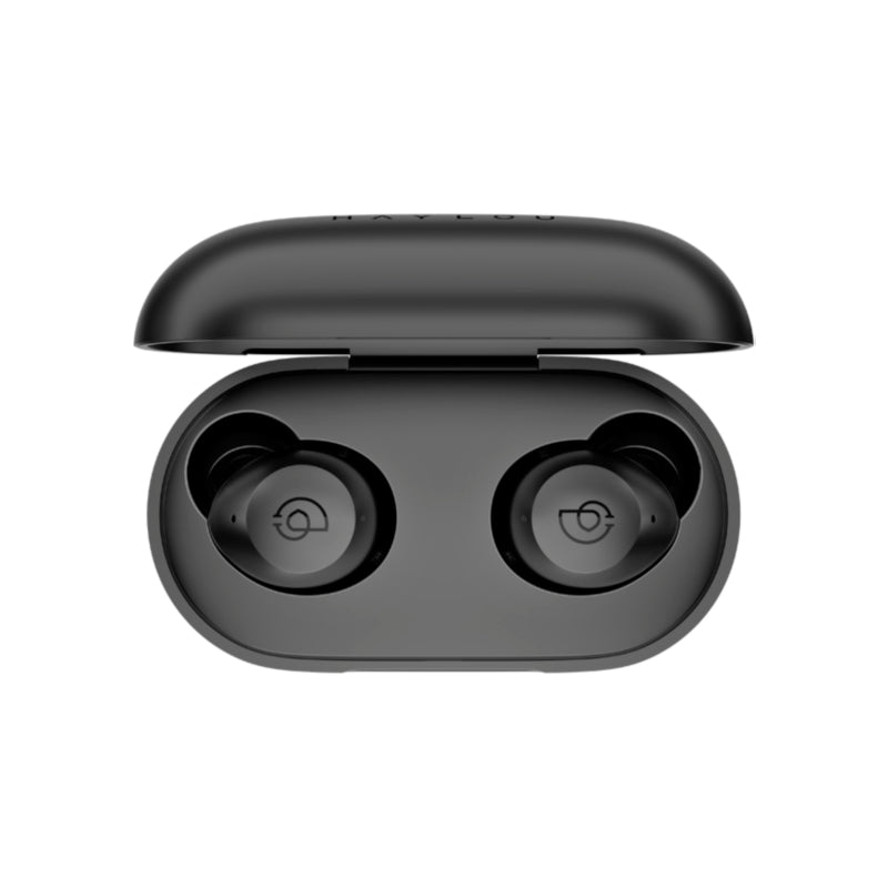 Haylou T16 TWS Earbuds Multiple noise reduction modes / CCAW voice coil / 30h long battery life / Left and Right ear dual host / Wireless charging