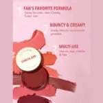 Sheglam Cheeky Color Jam-multi-use Cream Cheek And Lip Matte Blush