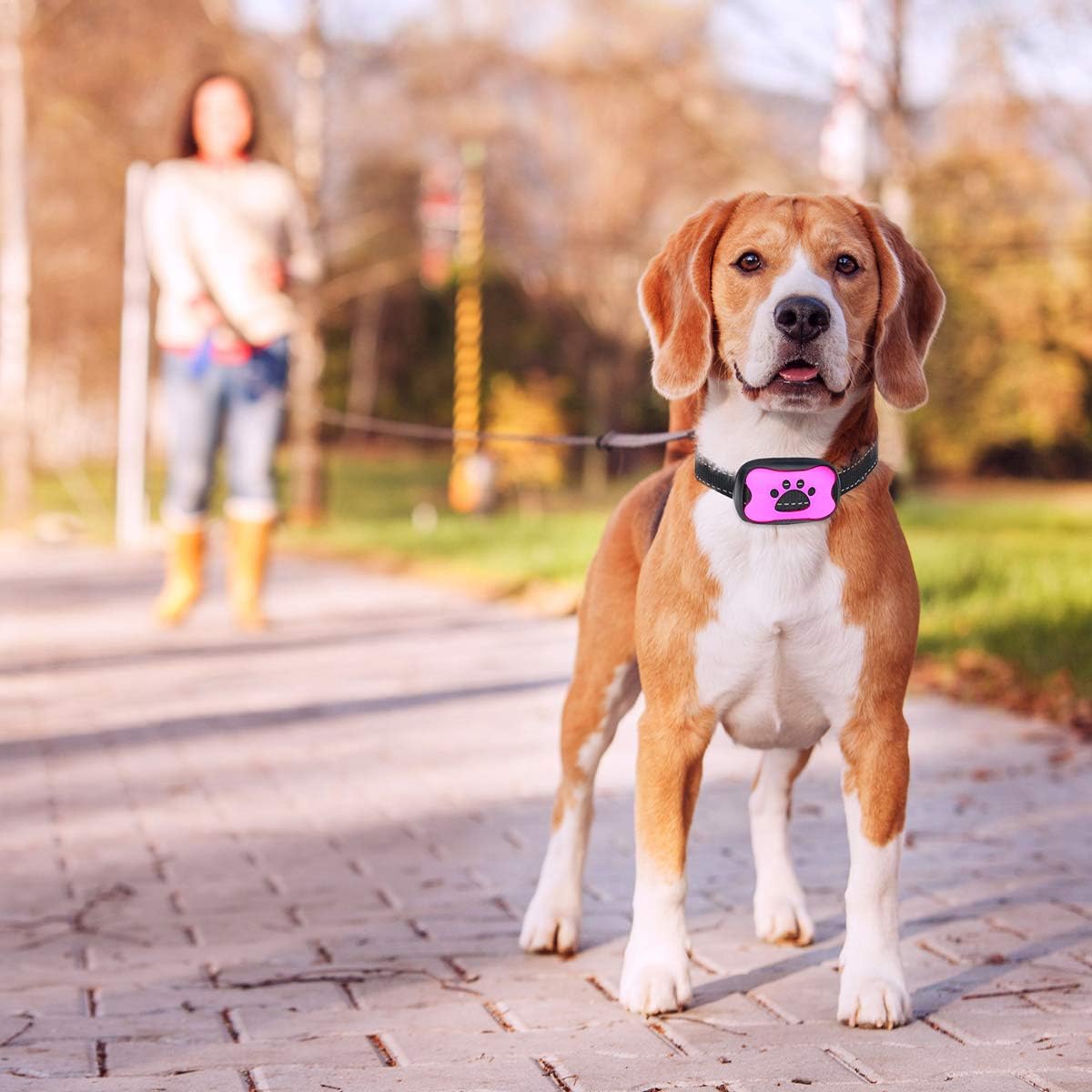 Trust the Paw - Bark Collar for 15-115 lbs Dogs - NO Shock - Humane Anti Bark Collar with Adjustable Sensitivity - Sound and Vibration - for Small Medium Large Breeds