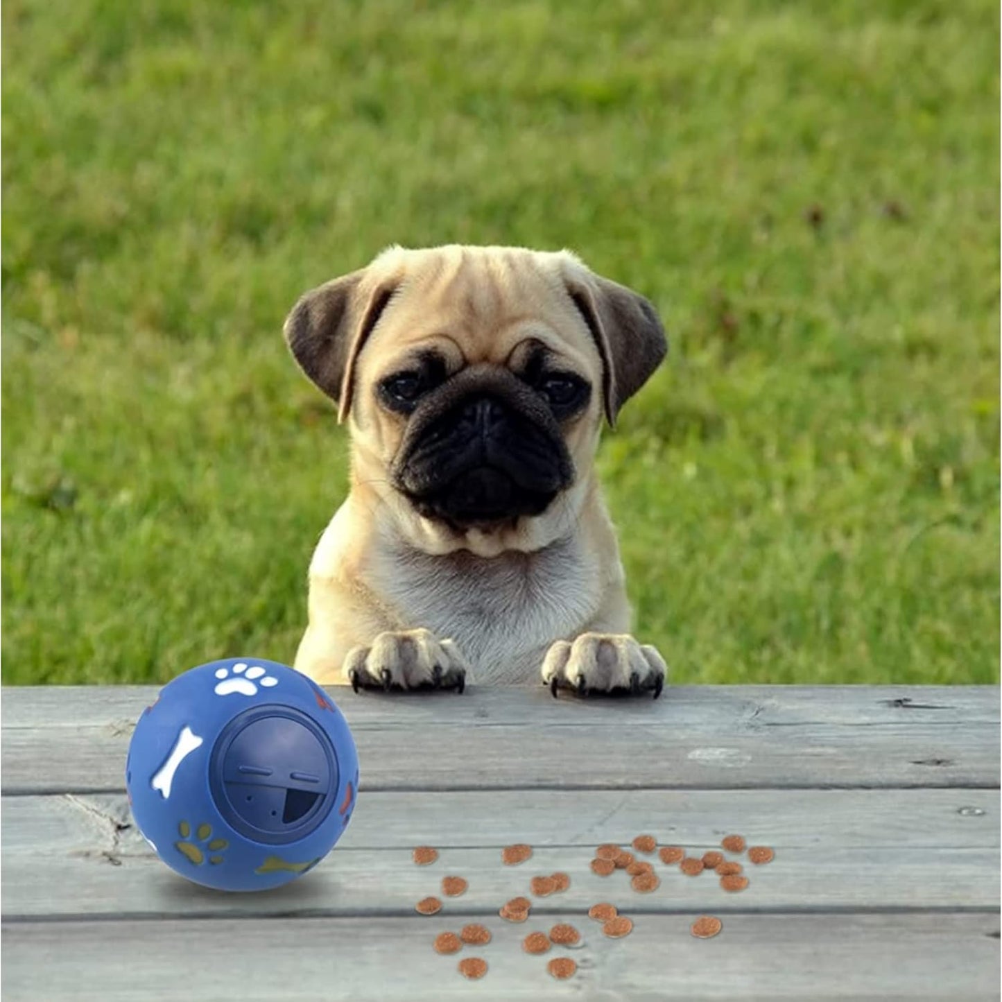 Dog Food Ball Dispenser Dog Slow Food Ball Indestructible Dog Balls Dog Treat Toys Puzzle Dog Toys for Boredom Dog Playing & Training Toy Blue,L