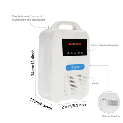 Oxygen Concentrator, 1L/min Household Oxygen Generator Machine, Portable Small Oxygen Generator for Home use Including atomizing Anion Purification Function Dual‑use for Home and car