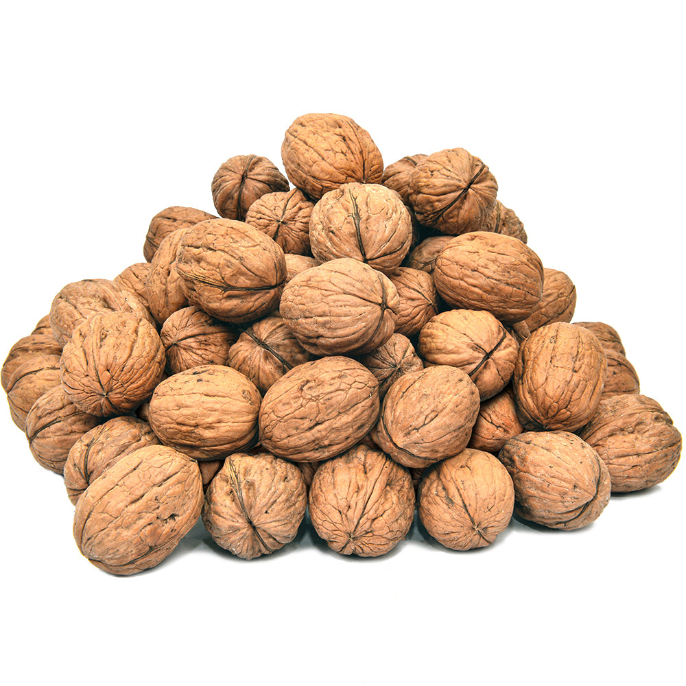 Akhrot Sabat Premium Quality (Walnut in Shell)