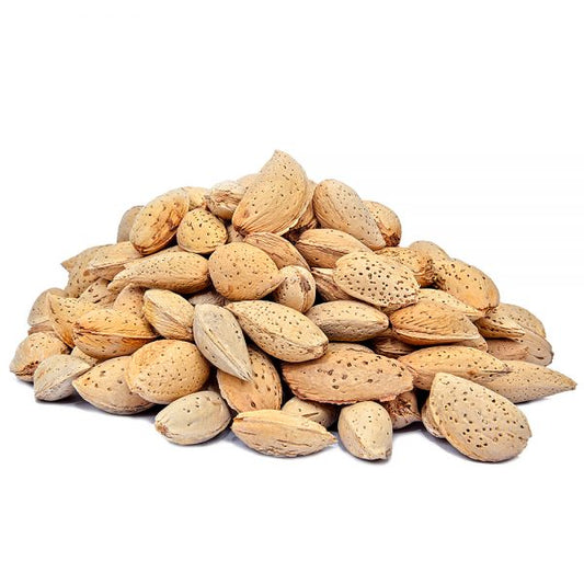 Badam Kagzi Premium Quality (Almond in Shell)