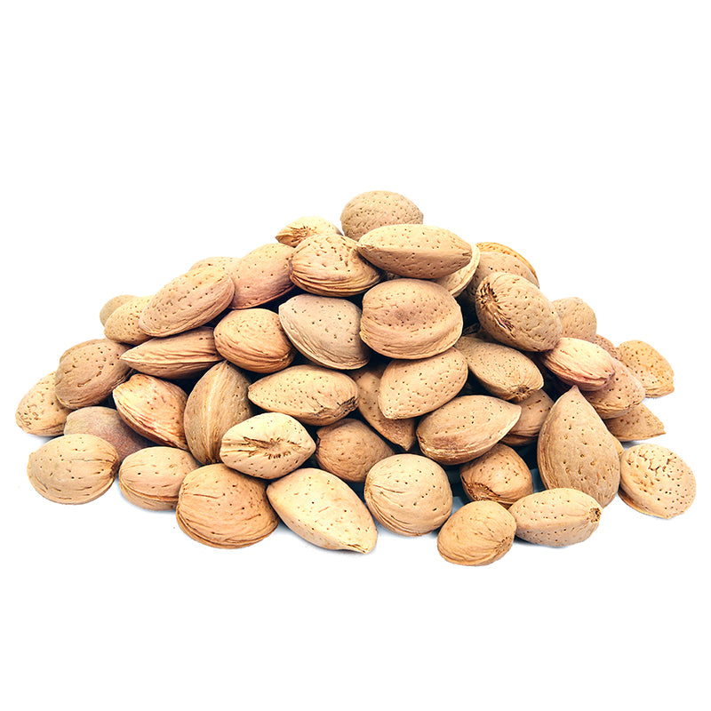 Badam Mota Premium Quality (Almond in Shell)