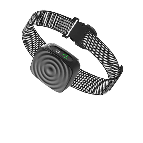 Dog Collar