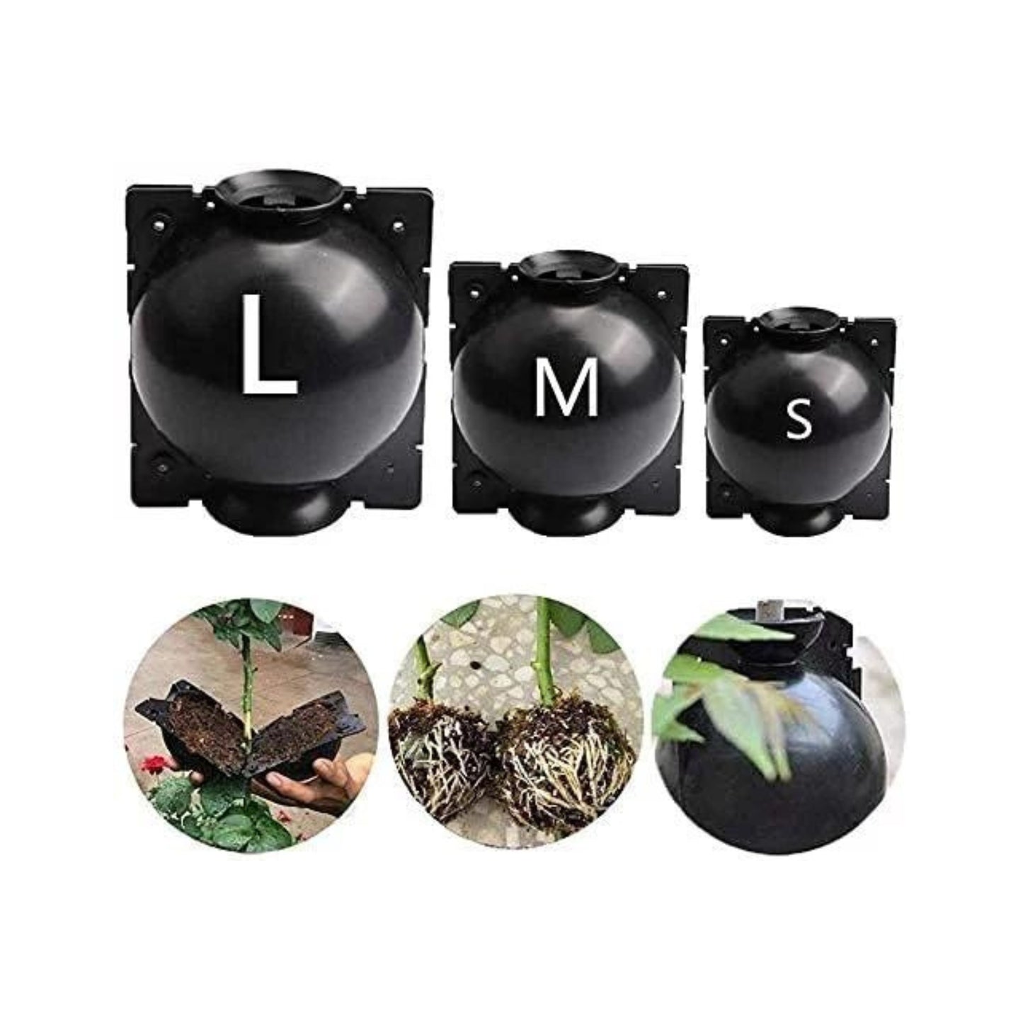 3Sizes 6pcs Plant Root Growing Box, Reusable Plant Rooting Device, High-Pressure Propagation Ball Rooter Box Grafting Botany Root Controller for Plants Asexual Reproduction 3Sizes