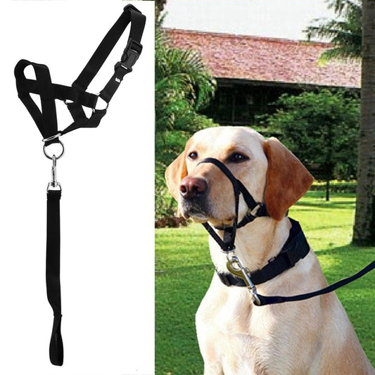 Leash Adjustable Loop Outdoor Walking Collars Training Nylon Pet Supplies Grooming Mouth Cover Anti Biting Dog Muzzle Durable Stop Chew